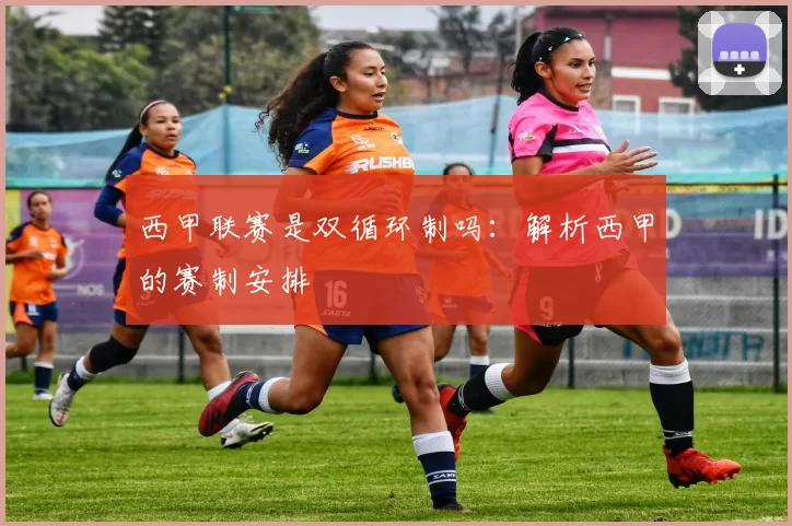 西甲联赛是双循环制吗:解析西甲的赛制安排