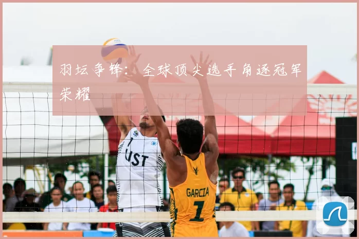 羽坛争锋：全球顶尖选手角逐冠军荣耀