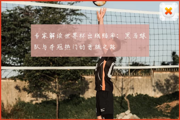 专家解读世界杯出线赔率：黑马球队与夺冠热门的晋级之路