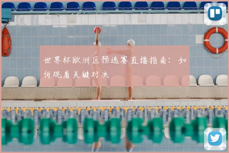 世界杯欧洲区预选赛直播指南：如何观看关键对决