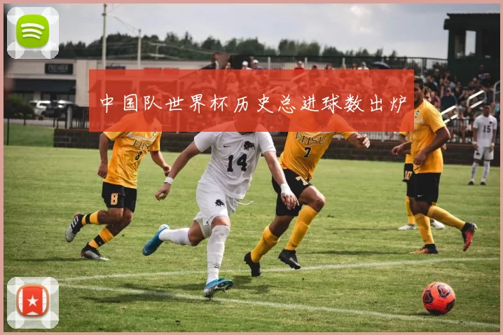 中国队世界杯历史总进球数出炉