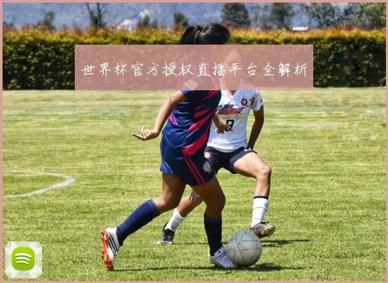 世界杯官方授权直播平台全解析