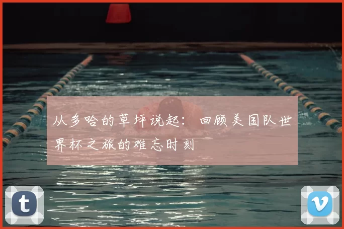 从多哈的草坪说起:回顾美国队世界杯之旅的难忘时刻