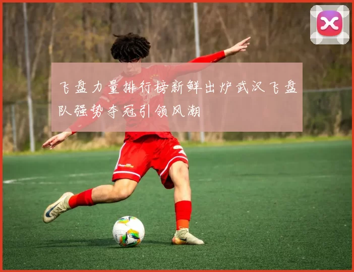 飞盘力量排行榜新鲜出炉武汉飞盘队强势夺冠引领风潮