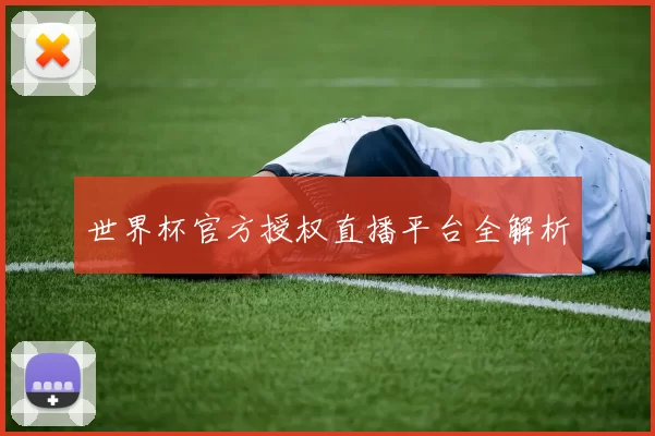 世界杯官方授权直播平台全解析