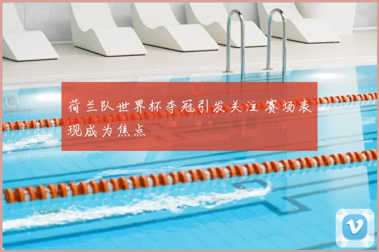 荷兰队世界杯夺冠引发关注 赛场表现成为焦点