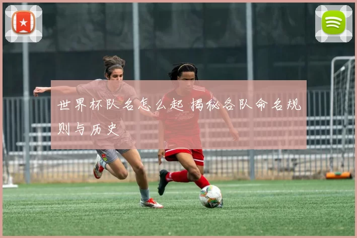 世界杯队名怎么起 揭秘各队命名规则与历史