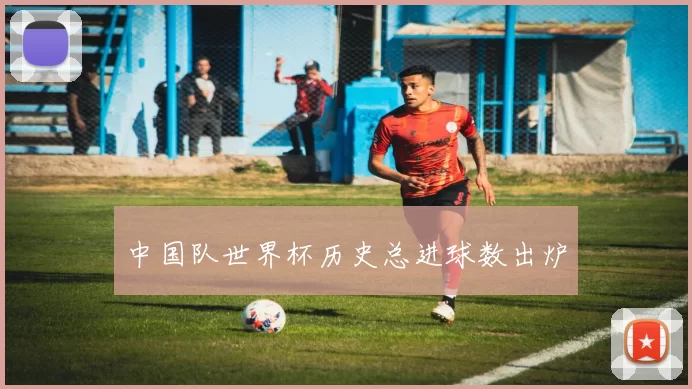 中国队世界杯历史总进球数出炉