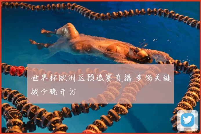 世界杯欧洲区预选赛直播 多场关键战今晚开打