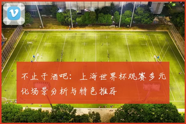 不止于酒吧：上海世界杯观赛多元化场景分析与特色推荐