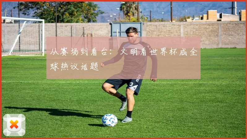 从赛场到看台：文明看世界杯成全球热议话题