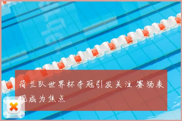 荷兰队世界杯夺冠引发关注 赛场表现成为焦点